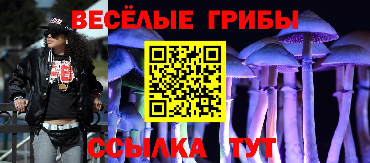 Псилоцибиновые грибы прущие грибы Гагарин